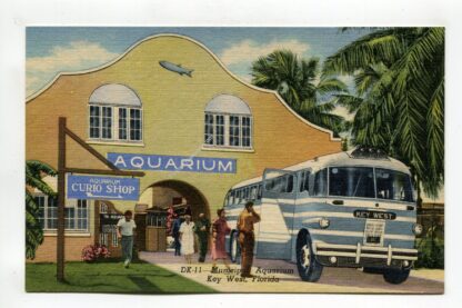 municipal-aquarium-key-west-florida-1262
