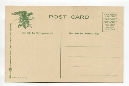 ostrich-a19352