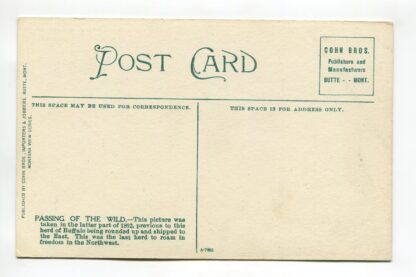 passing-of-the-wild-a19354