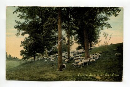 pastoral-scene-in-the-blue-grass-1103