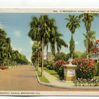 prospect-avenue-bradenton-florida-a-residential-street-in-tropical-florida-1271