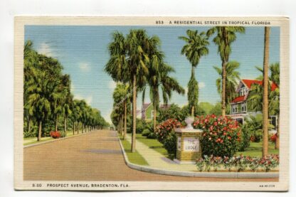 prospect-avenue-bradenton-florida-a-residential-street-in-tropical-florida-1271
