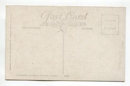 rhinoceros-zoological-gardens-london-a19373