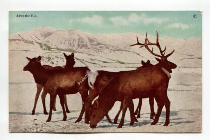 save-the-elk-1073
