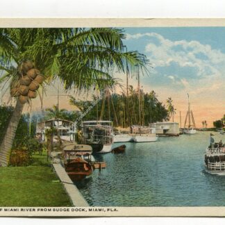 view-of-miami-river-from-budge-dock-miami-florida-1272