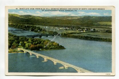 bird-s-eye-view-from-blue-hill-showing-bridges-and-union-of-north-and-west-branch-of-susquehanna-river-pennsylvania-1320