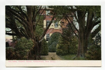 yew-trees-haddon-house-haddonfield-new-jersey-1339