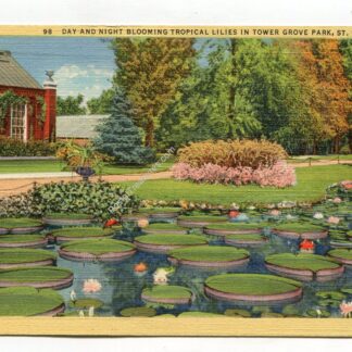 day-and-night-blooming-tropical-lilies-in-tower-grove-park-st-louis-missouri-1745
