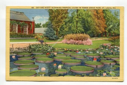 day-and-night-blooming-tropical-lilies-in-tower-grove-park-st-louis-missouri-1745
