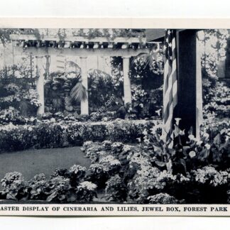 easter-display-of-cineraria-and-lilies-jewel-box-forest-park-1700
