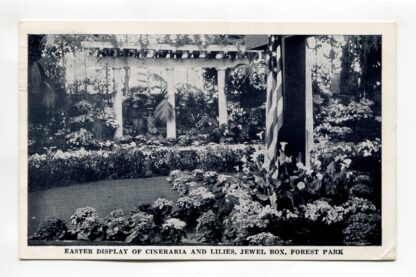 easter-display-of-cineraria-and-lilies-jewel-box-forest-park-1700