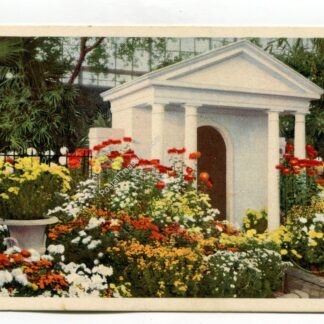 missouri-botanical-garden-chrysanthemum-show-st-louis-missouri-1632