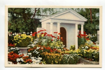 missouri-botanical-garden-chrysanthemum-show-st-louis-missouri-1632