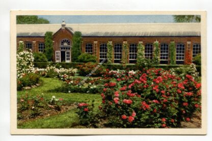 missouri-botanical-garden-rose-garden-st-louis-missouri-1643
