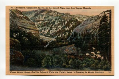 mt-charleston-commonly-known-as-the-desert-alps-near-las-vegas-nevada-1423