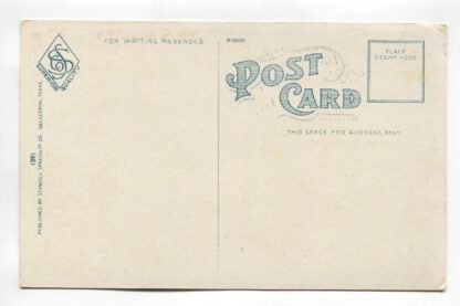 sample-of-beautiful-tropical-foliage-galveston-texas-a18809