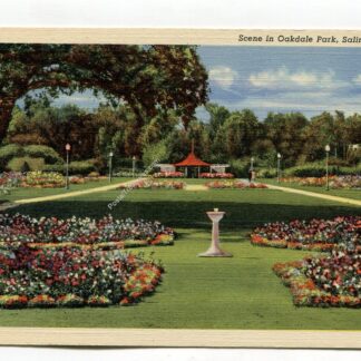 scene-in-oakdale-park-salina-kansas-1483