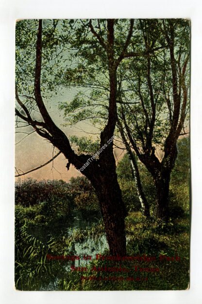 seeings-in-brackenridge-park-san-antonio-texas-1381