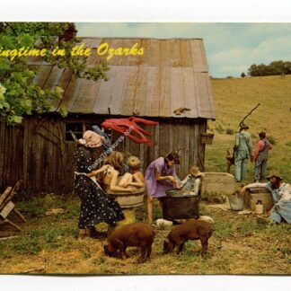 springtime-in-the-ozarks-1578