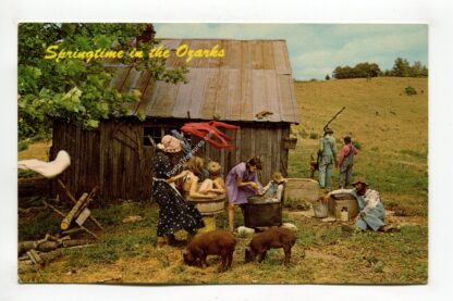 springtime-in-the-ozarks-1578