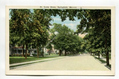 st-louis-street-springfield-missouri-1686