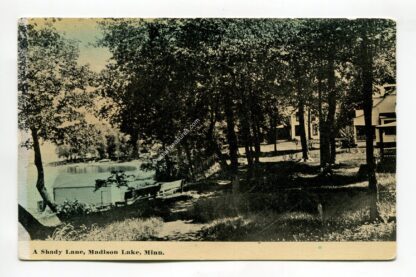 a-shady-lane-madison-lake-minnesota-1841