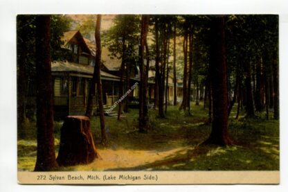 sylvan-beach-michigan-lake-michigan-side-1823