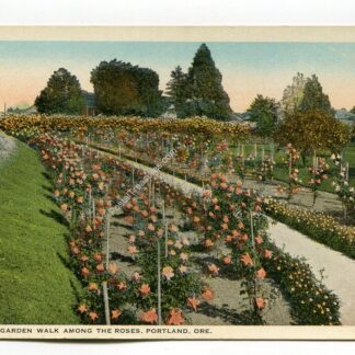 a-garden-walk-among-the-roses-portland-oregon-1949