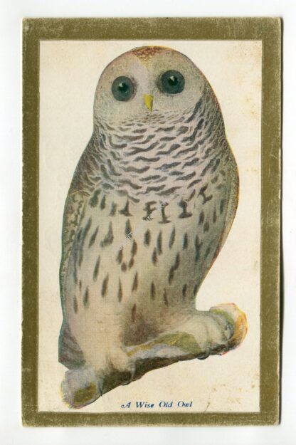 a-wise-old-owl-1973
