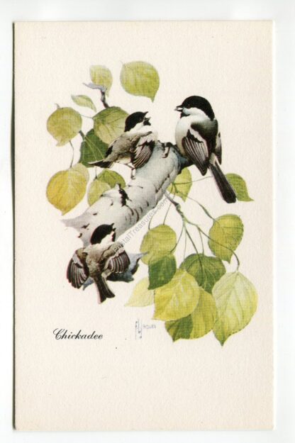chickadee-1966