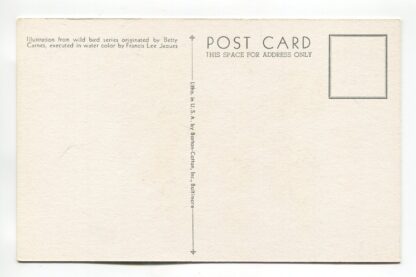 chickadee-a19335