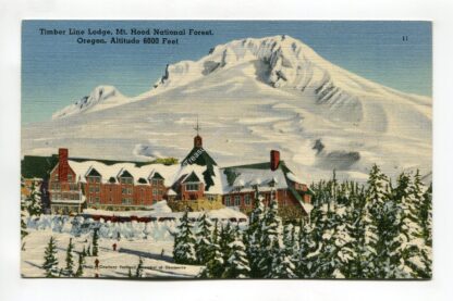 timber-line-lodge-mt-hood-national-forest-oregon-2031