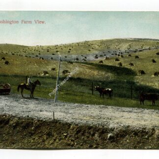 a-washington-farm-view-2094