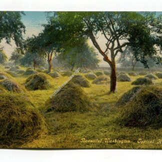 beautiful-washington-typical-hay-scene-2110