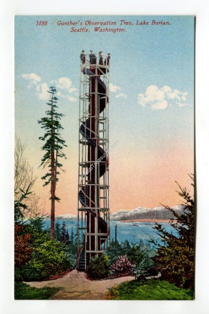 gunther-s-observation-tree-lake-burian-seattle-washington-2117