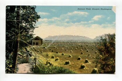 harvest-field-western-washington-2103