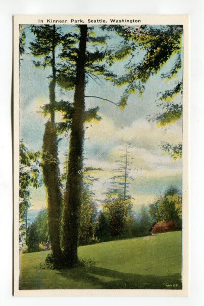 in-kinnear-park-seattle-washington-2104