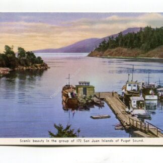 scenic-beauty-in-the-group-of-172-san-juan-islands-of-puget-sound-2049