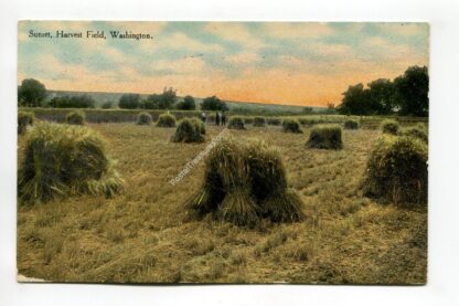 sunset-harvest-field-washington-2056