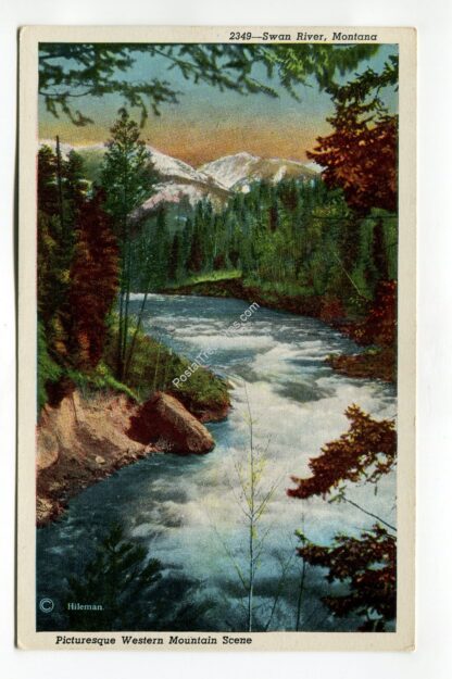 swan-river-montana-2166