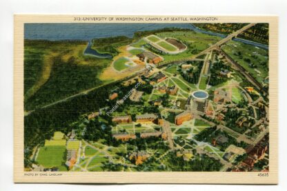 university-of-washington-campus-at-seattle-washington-2177
