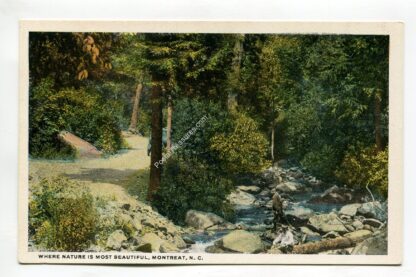 where-nature-is-most-beautiful-montreat-north-carolina-2138