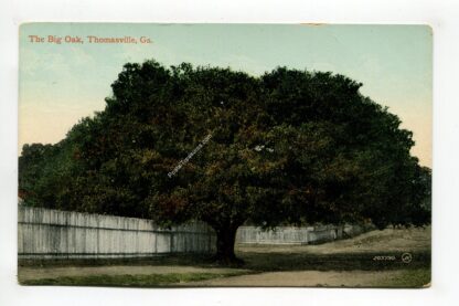 big-oak-thomasville-georgia-2386