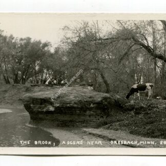 brook-a-scene-near-dresbach-minnesota-2258