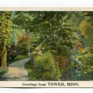 greetings-from-tower-minnesota-2270