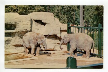 lota-and-tamara-washington-park-zoo-milwaukee-wisconsin-2304