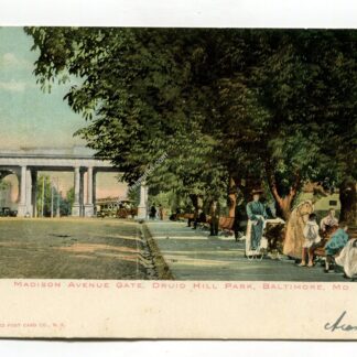 madison-avenue-gate-druid-park-baltimore-maryland-2473