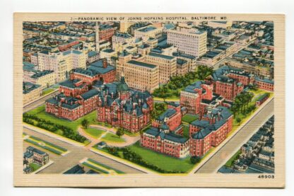 panoramic-view-of-john-hopkins-hospital-baltimore-maryland-2442