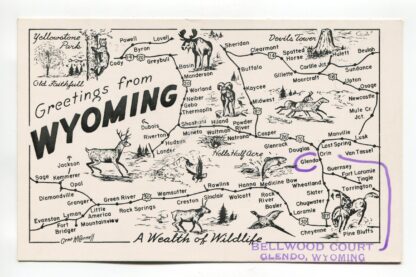 greetings-from-wyoming-a-wealth-of-wildlife-bellwood-court-glendo-wyoming-2799