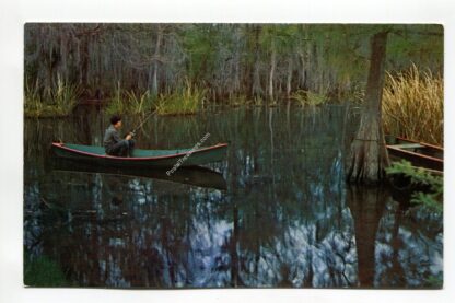 serenity-louisiana-s-deep-south-2647